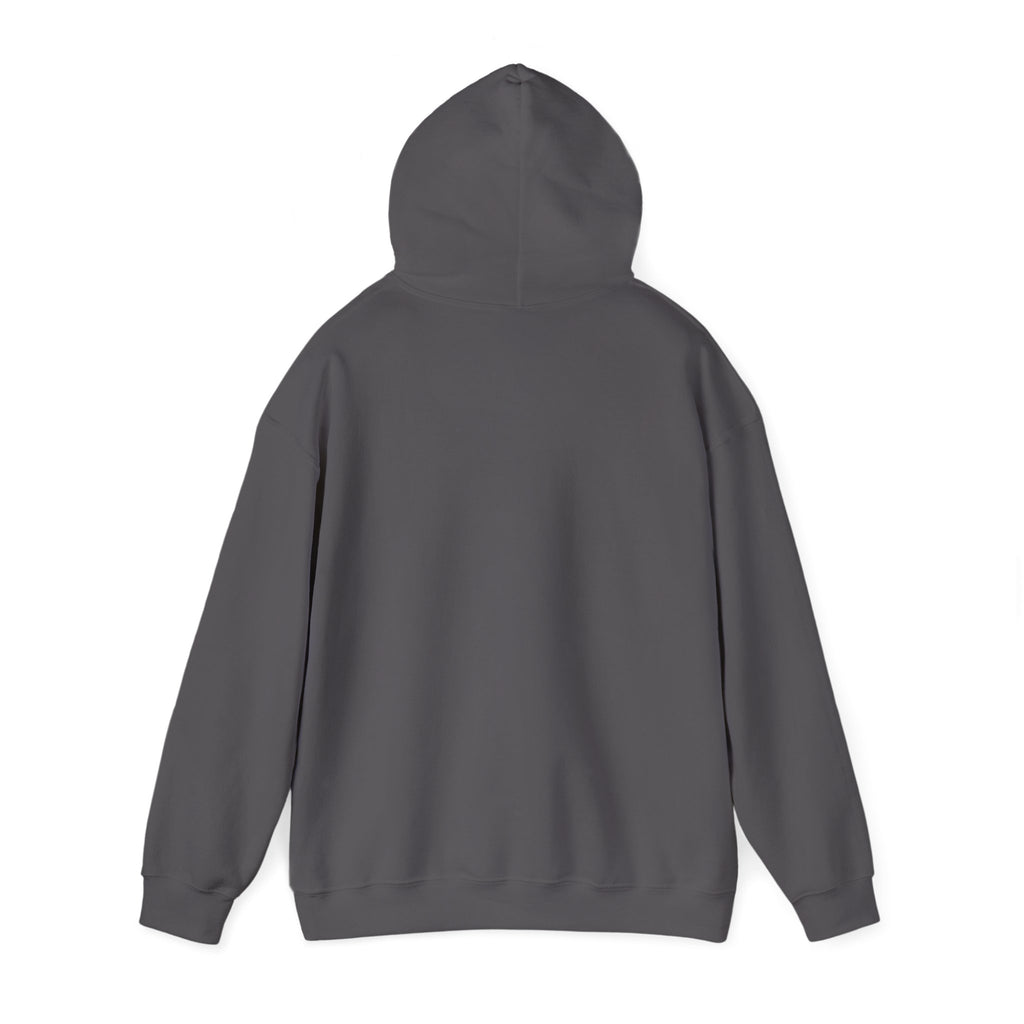 Lyrical University Hoodie – School of Artistry