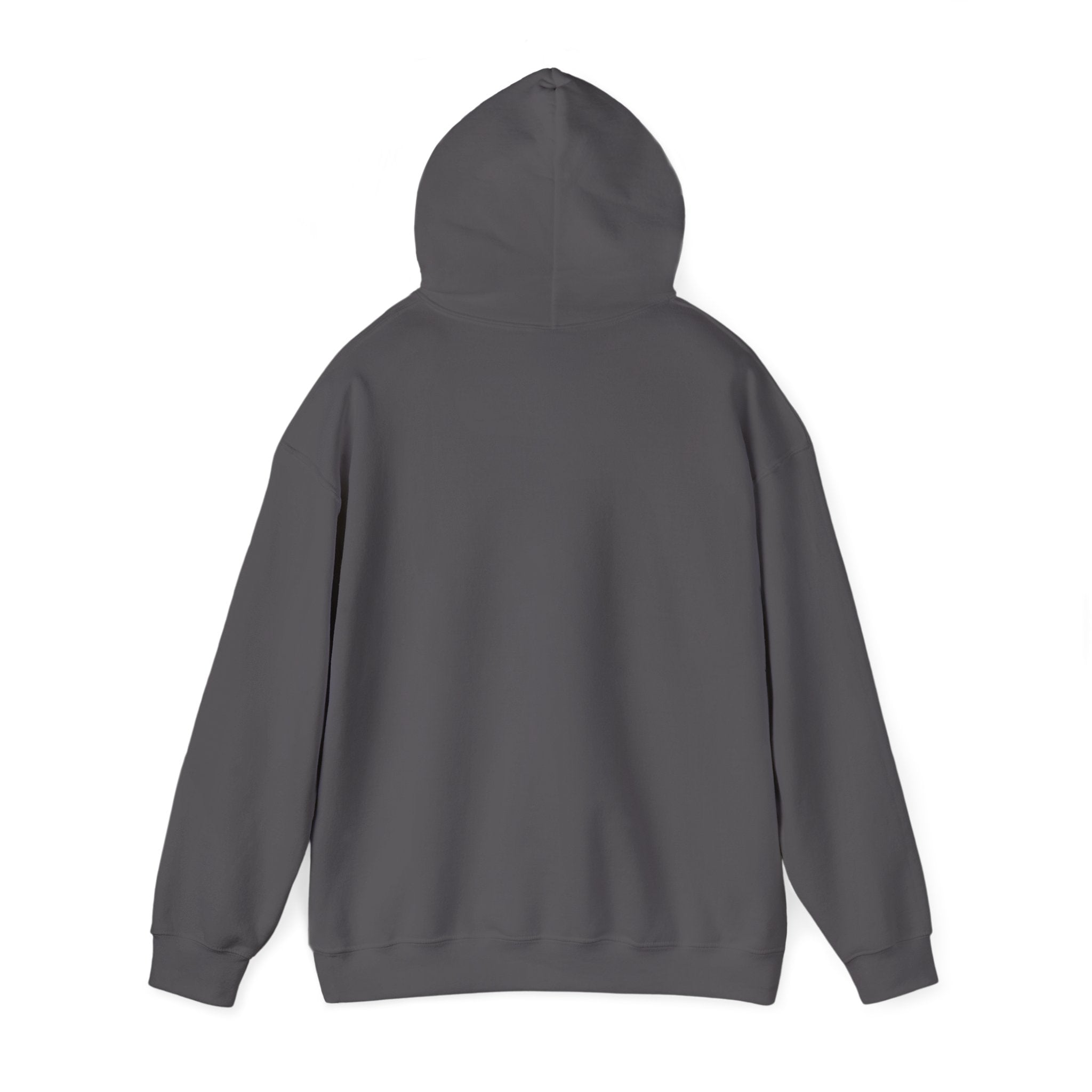 Lyrical University Hoodie – School of Artistry