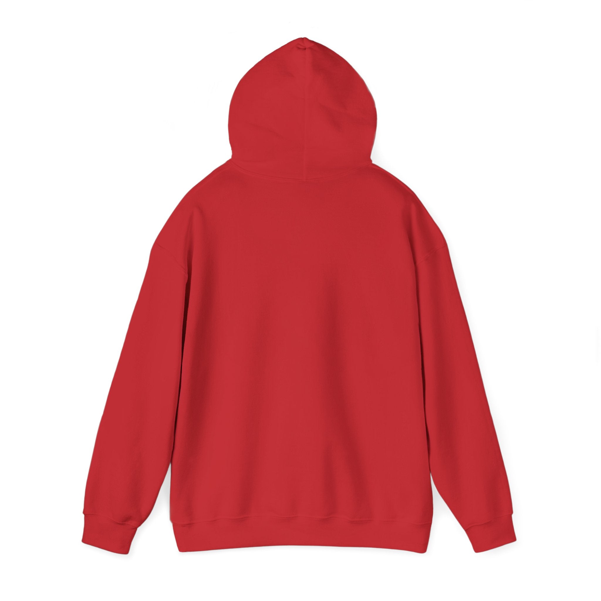 Lyrical University Hoodie – School of Artistry