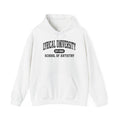 Lyrical University Hoodie – School of Artistry