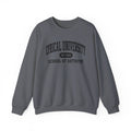 Lyrical University Crewneck – School of Artistry