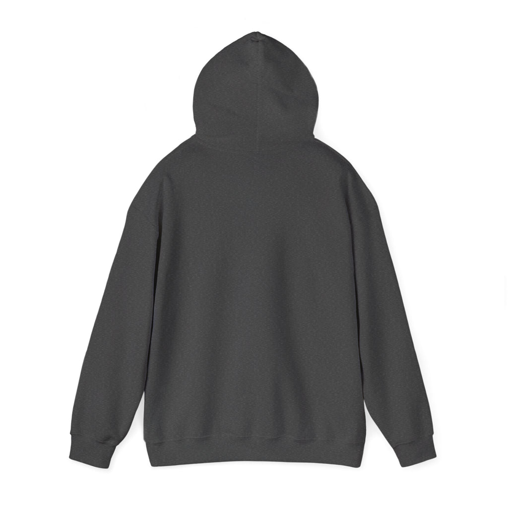 Lyrical University Hoodie – School of Artistry