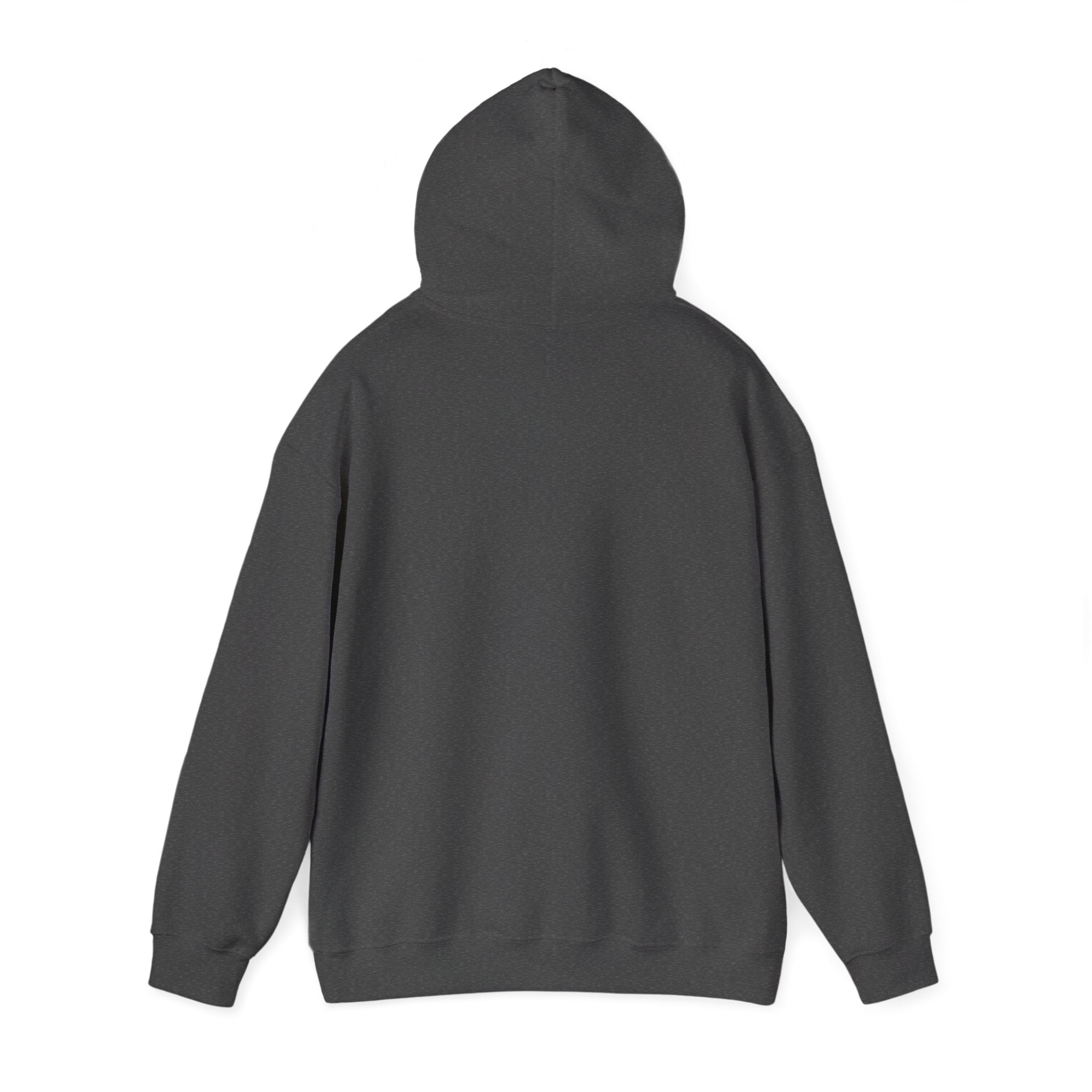 Lyrical University Hoodie – School of Artistry