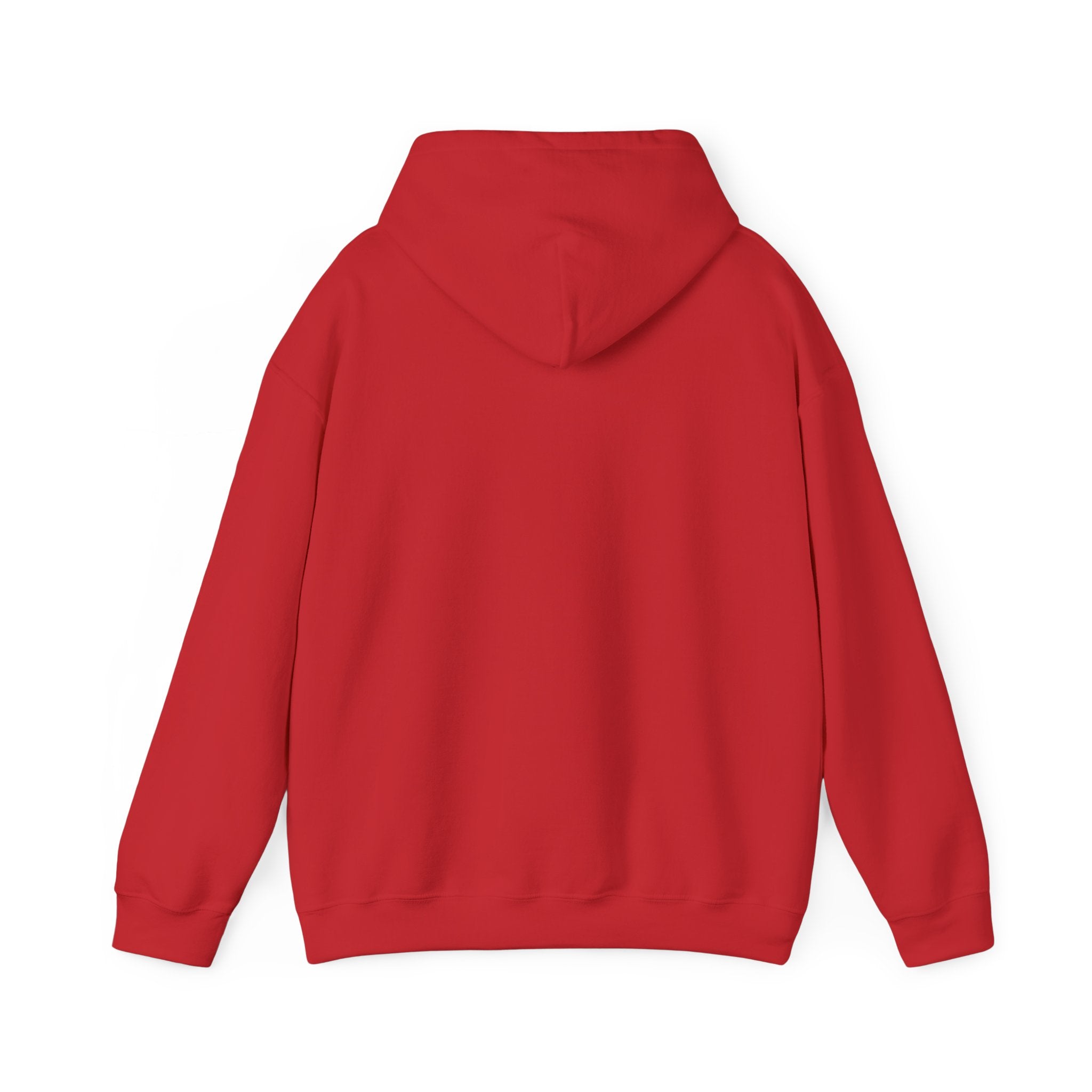 Lyrical University Hoodie – School of Artistry