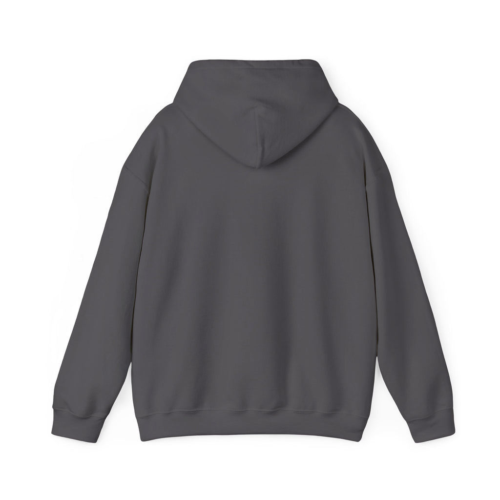 Lyrical University Hoodie – School of Artistry