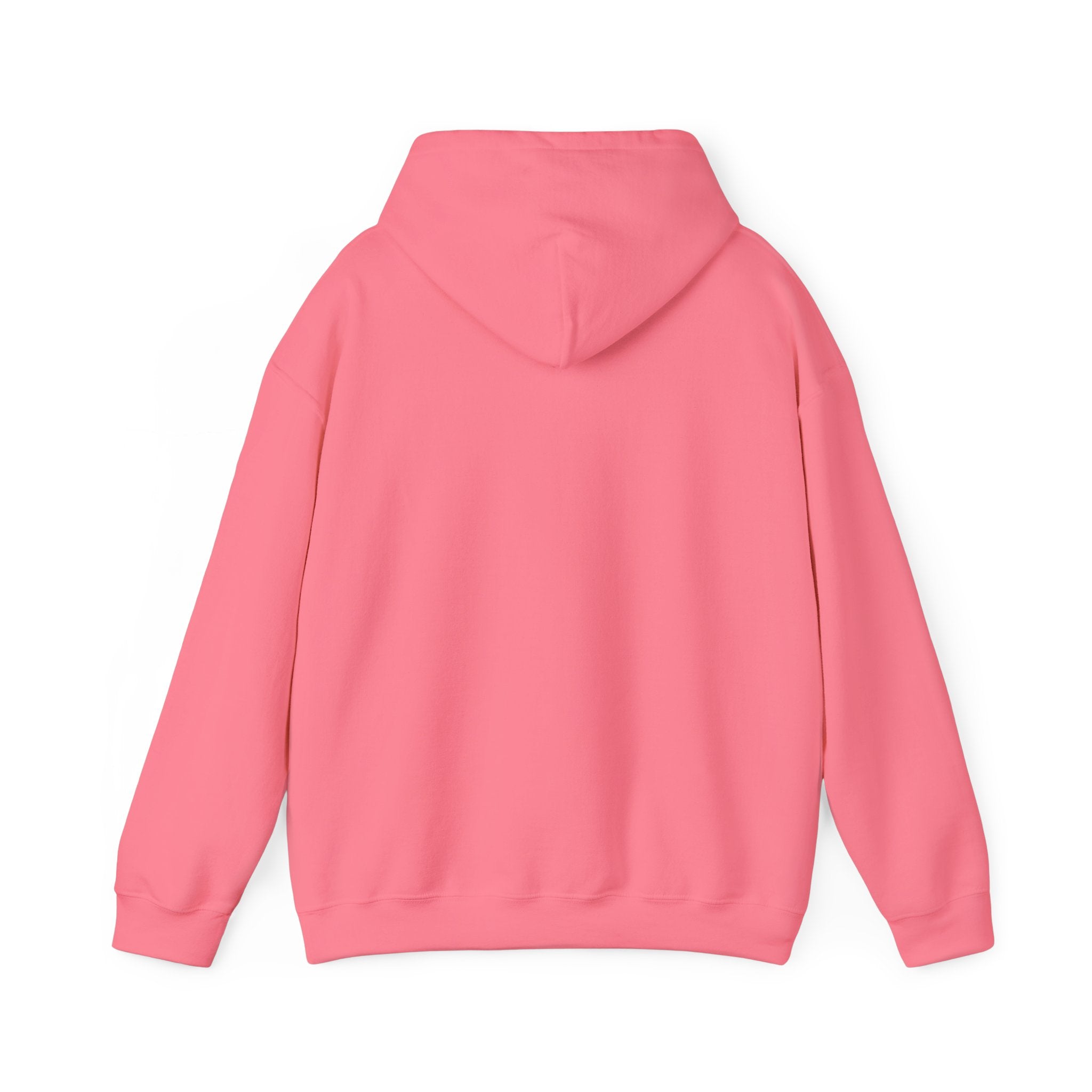 Lyrical University Hoodie – School of Artistry