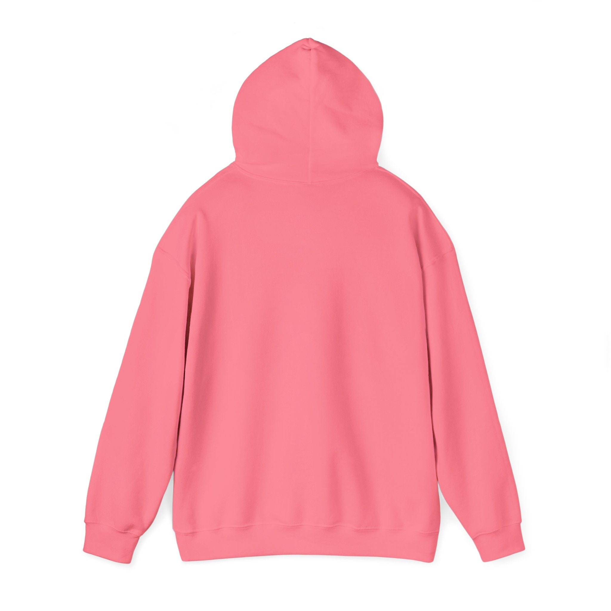 Lyrical University Hoodie – School of Artistry